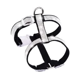 Harnais à Strass Pour Chihuahua Noir