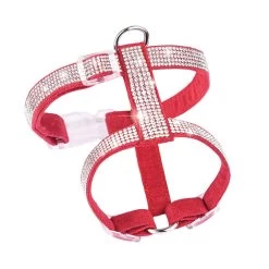 Harnais à Strass Pour Chihuahua Rouge