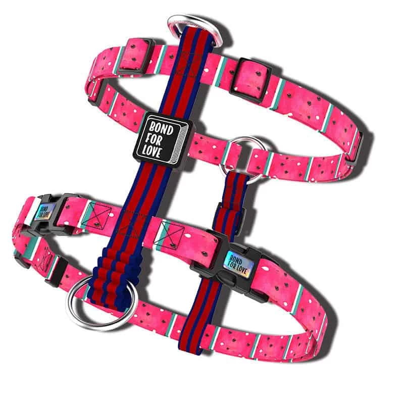 Harnais Pour Chien – CHICAGO