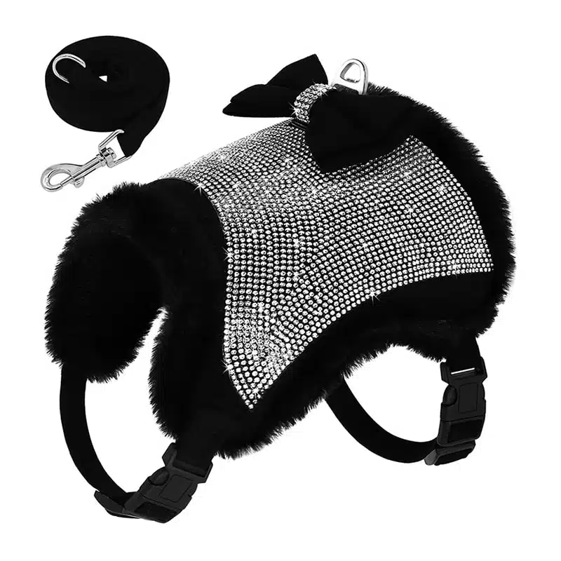 Harnais Veste Pour Chihuahua à Strass Noir Et Sa Laisse Assortie