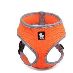 Harnais Gilet Pour Petit Chien Orange – Truelove