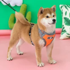 Harnais Pour Shiba Inu Confortable