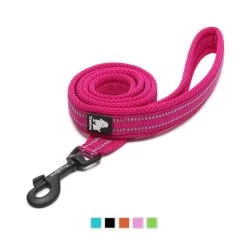 Laisse Anti-Traction Réfléchissante – True Love