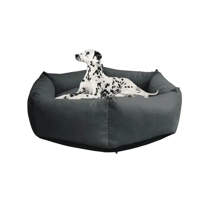 Panier Pour Grand Chien Design Et Déhoussable